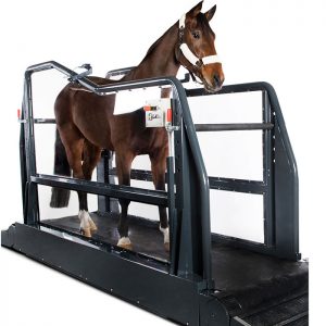 Endura Pro Treadmill